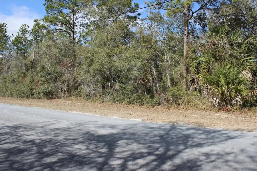 0 Quigley Avenue, Weeki Wachee, FL 34614 - #3