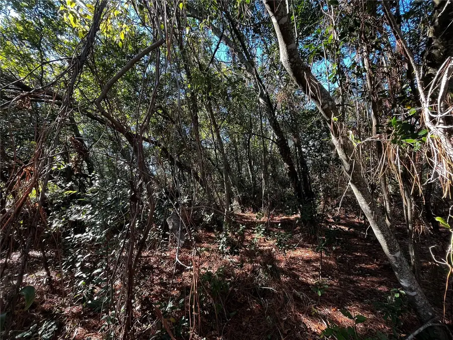 2293 Marietta Avenue, Spring Hill, FL 34608 - #3