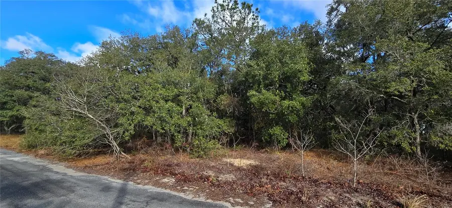 4331 W Donali Court, Homosassa, FL 34446 - #3