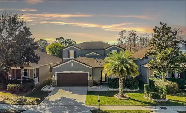 12902 Tikal Way, TRINITY, FL 34655