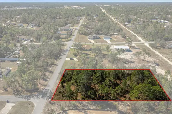 8447 Mazette Road, WEEKI WACHEE, FL 34613