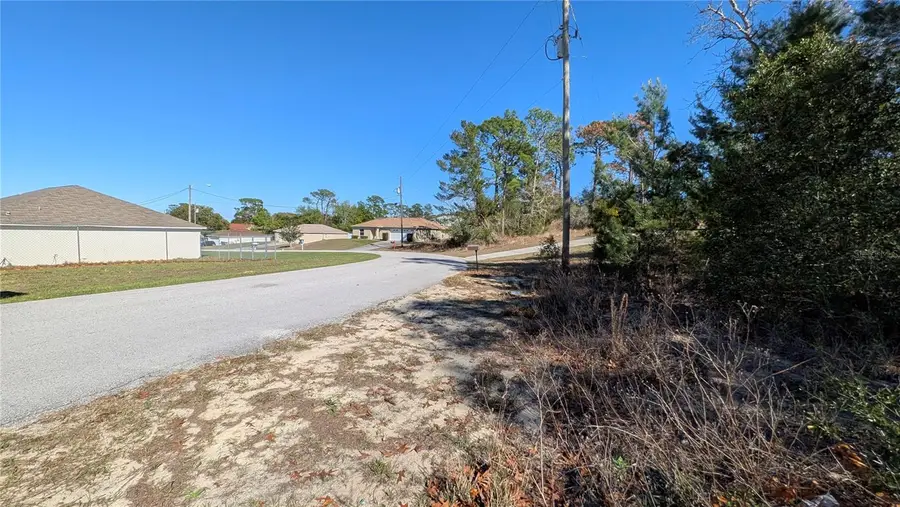 13014 Hanley Drive, Spring Hill, FL 34609 - #3