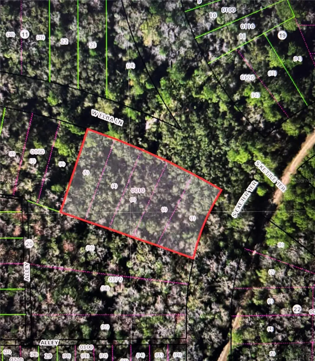 8748 W Elba Place, Homosassa, FL 34448 - #1