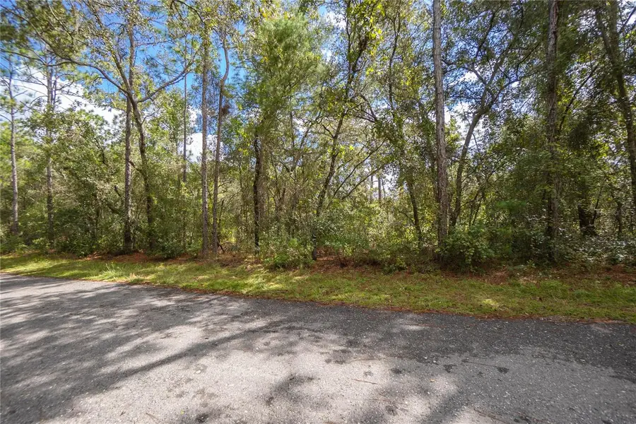 3210 E Michael Street, Inverness, FL 34453 - #3