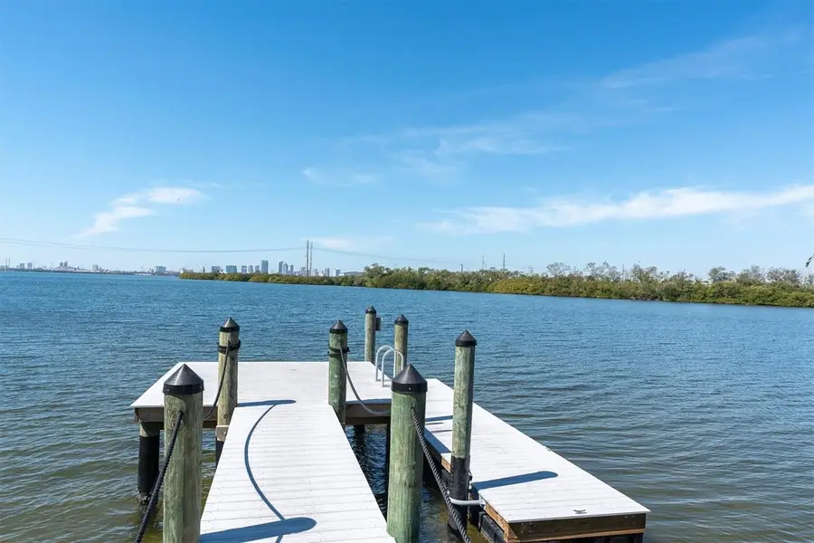 545 Vincinda Crest Way, Tampa, FL 33619 - #3