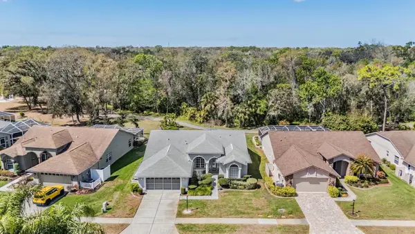 9525 Springmeadow Drive, NEW PORT RICHEY, FL 34655