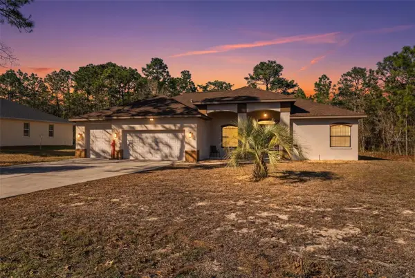 2 Pagoda Court W, HOMOSASSA, FL 34446