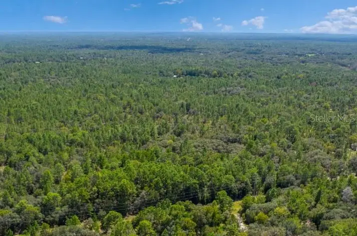 6272 W Hagan Court, Dunnellon, FL 34433 - #1