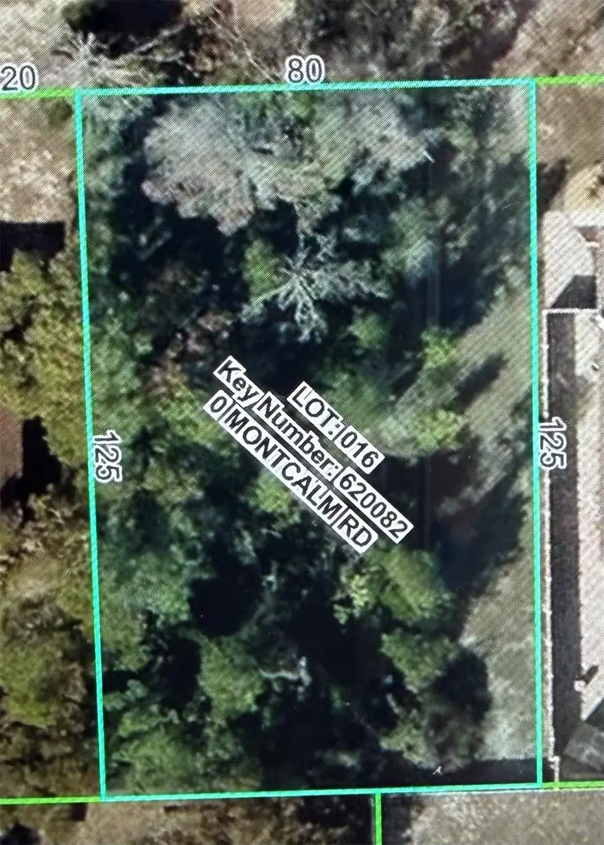 11230 Montcalm Road, Spring Hill, FL 34608 - #2