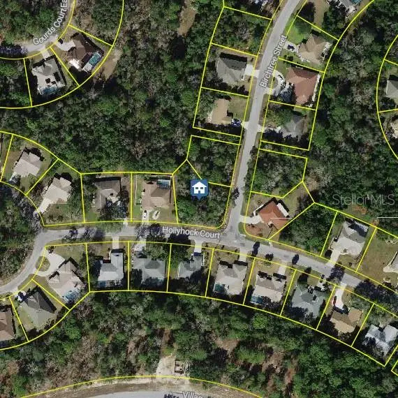 36 Hollyhock Court, HOMOSASSA, FL 34446