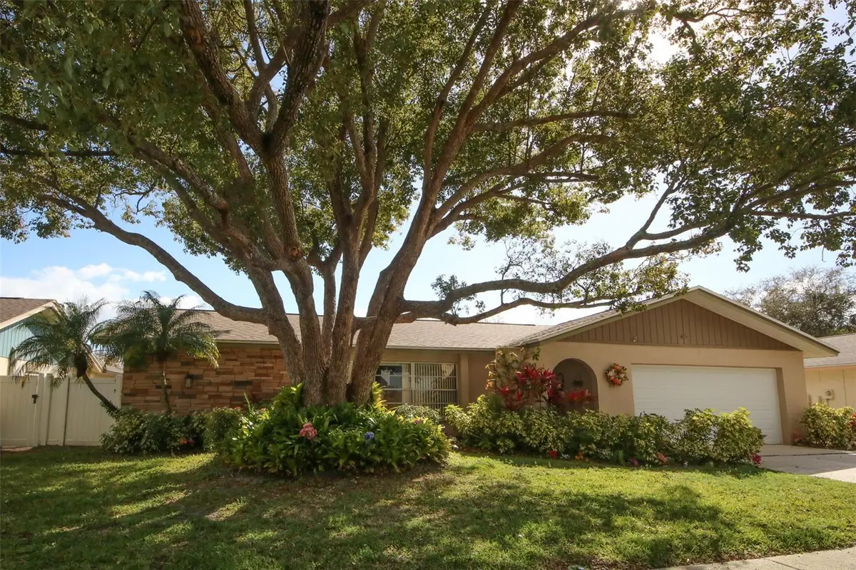 45 Turnstone Drive, Safety Harbor, FL 34695 - #1