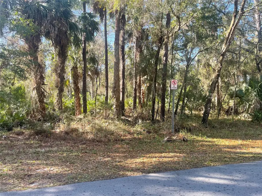 1120 NE 3rd Street, Crystal River, FL 34429 - #3