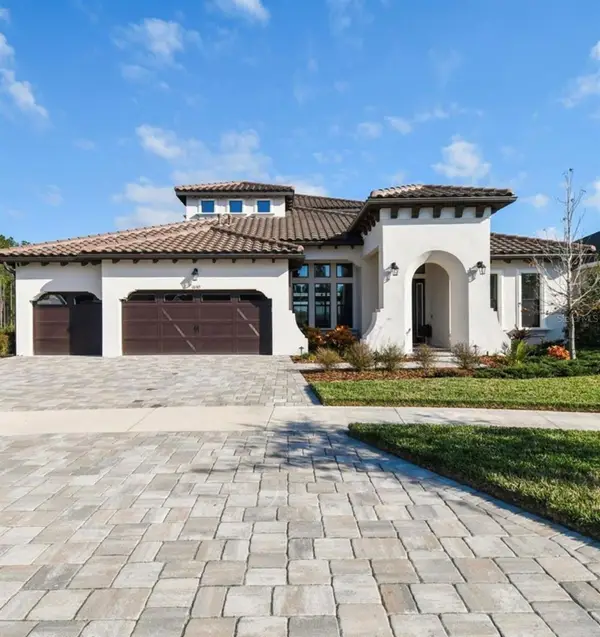 16165 November Rain Court, LAND O LAKES, FL 34638