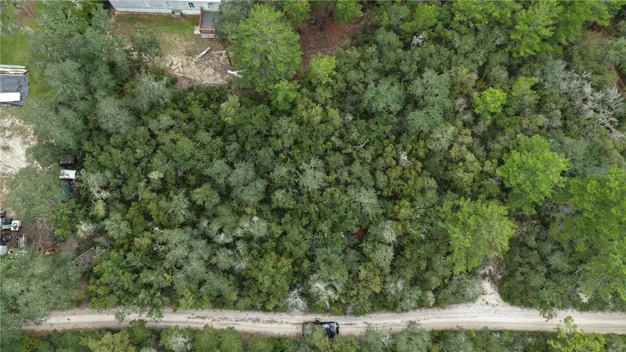 27 NE 235th Street, Fort McCoy, FL 32134 - #2