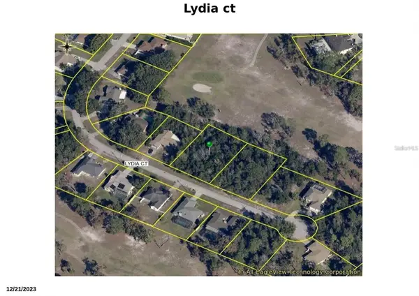 Lydia Court, SPRING HILL, FL 34608