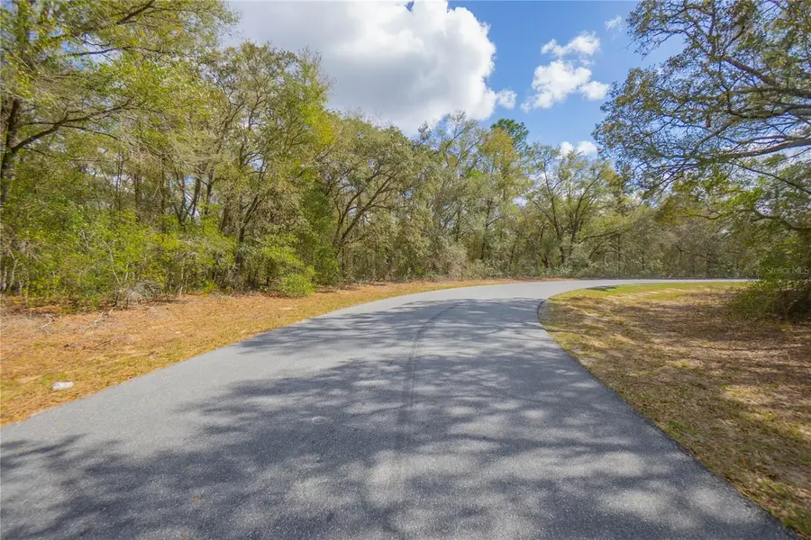 8743 N Sandree Drive, Citrus Springs, FL 34434 - #2