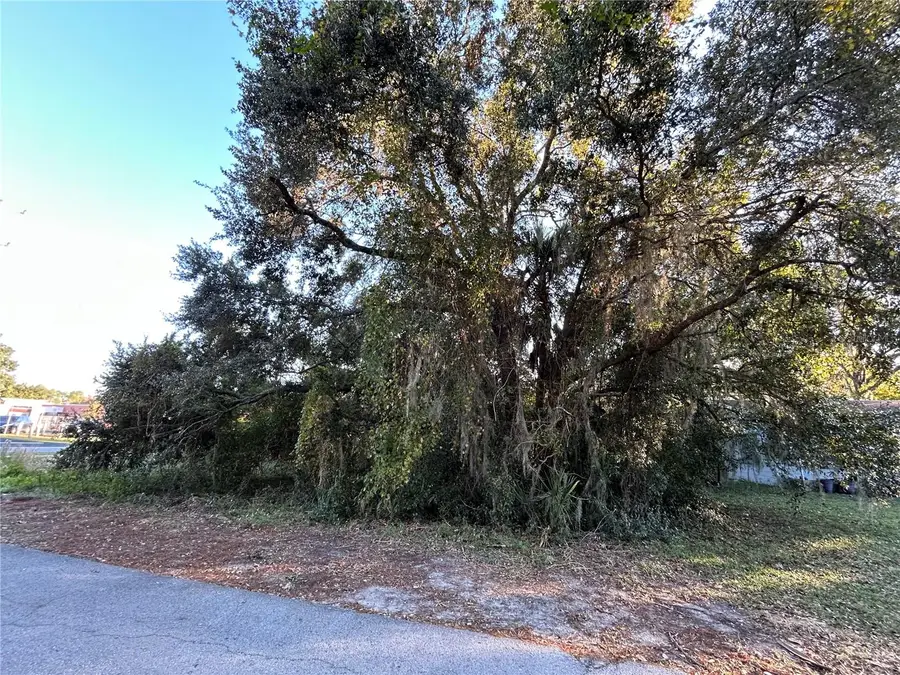 764 NE 12th Street, Crystal River, FL 34428 - #2