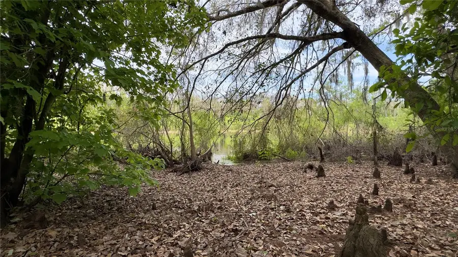 12341 Deer Lake Drive, New Port Richey, FL 34654 - #3