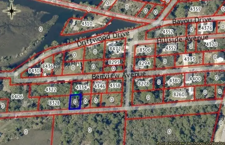 Driftwood Drive, Weeki Wachee, FL 34607 - #2