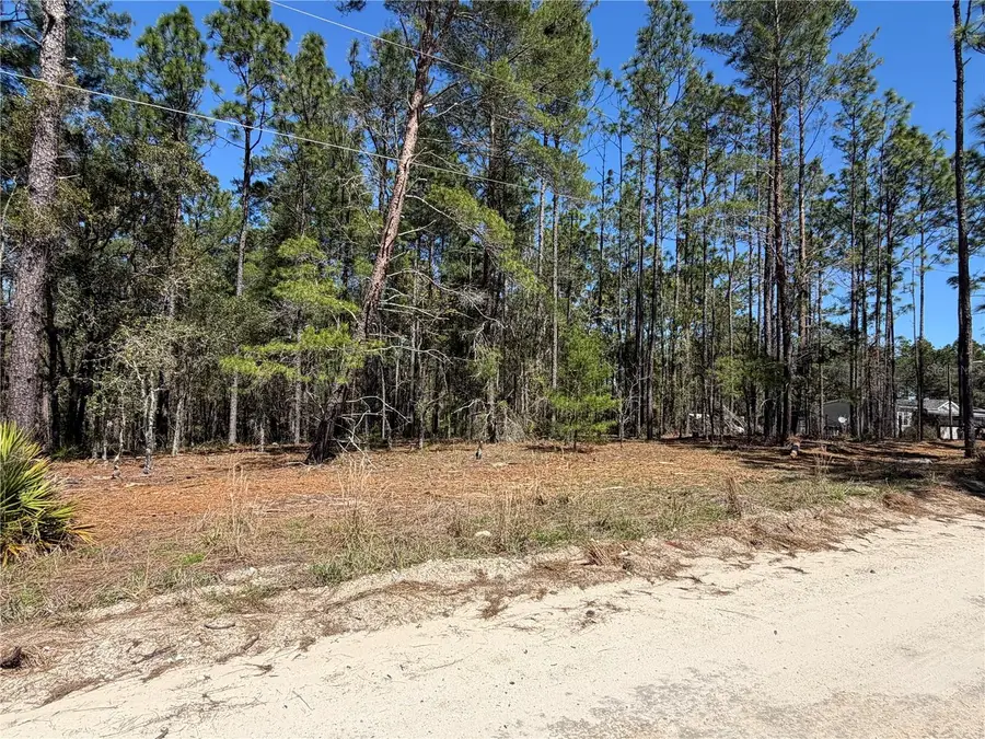 00000 SE 58th Place, Morriston, FL 32668 - #3