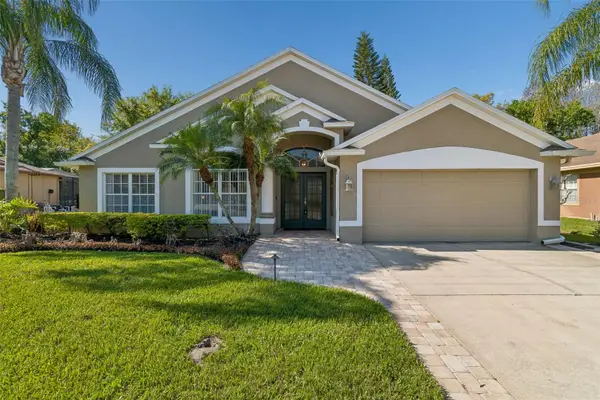 21314 Marsh Hawk Drive, LAND O LAKES, FL 34638