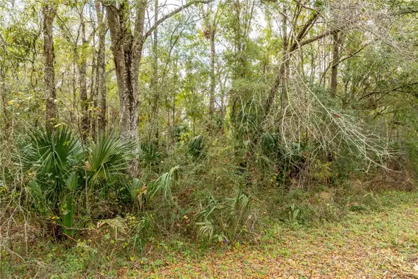 Lake Lindsey Tract 2 Road, BROOKSVILLE, FL 34601