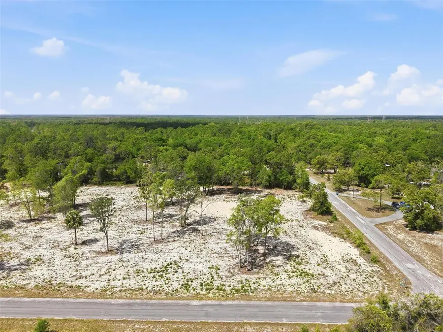 14235 Carolina Dove Road, Weeki Wachee, FL 34614 - #2