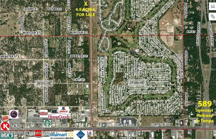 Sunshine Grove Road, Brooksville, FL 34613 - #3