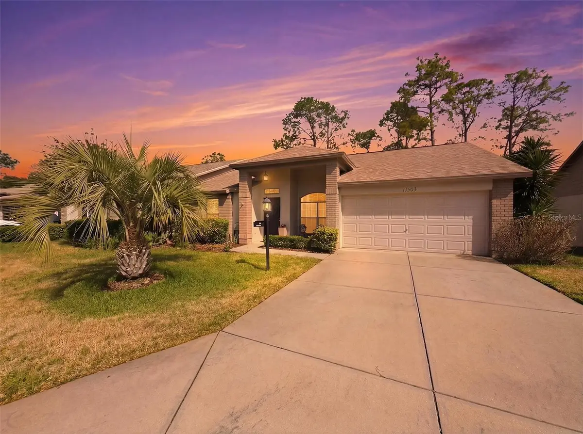 11503 Baronwood Court, Hudson, FL 34667 - #1