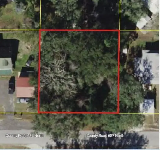 Cr 687, Webster, FL 33597 - #1