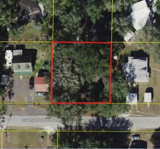 Cr 687, Webster, FL 33597 - #2