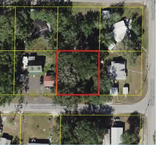 Cr 687, Webster, FL 33597 - #3