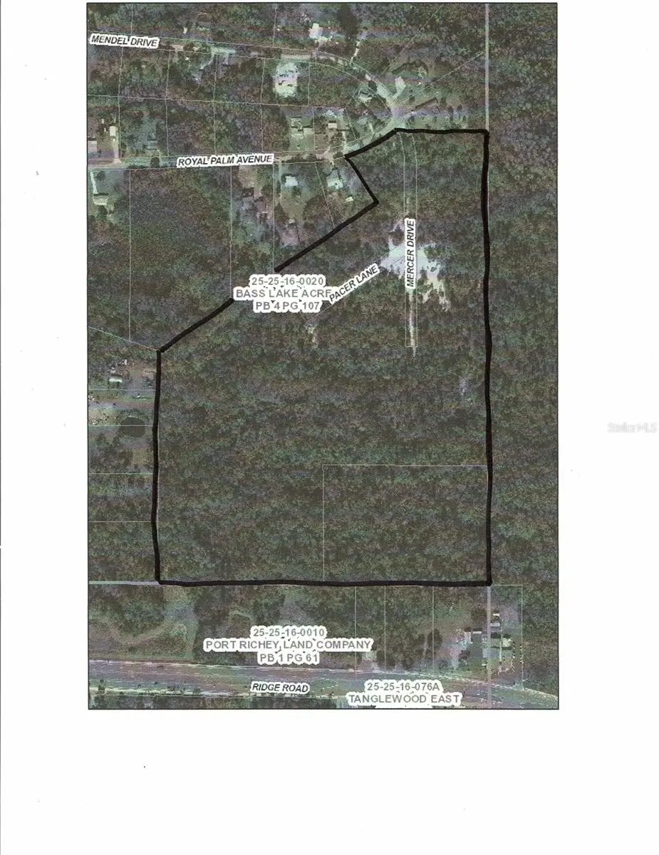 0 Royal Palm Ave, New Port Richey, FL 34654 - #1