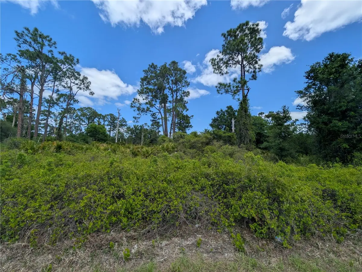 784 Washington Boulevard Ne, Lake Placid, FL 33852 - #1