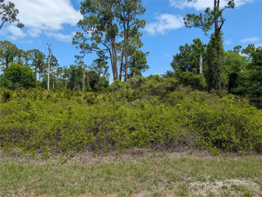 784 Washington Boulevard Ne, Lake Placid, FL 33852 - #2