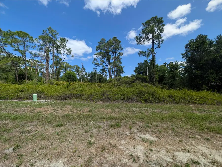 784 Washington Boulevard Ne, Lake Placid, FL 33852 - #3
