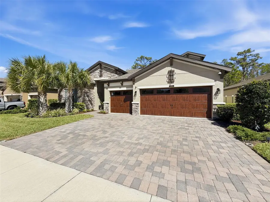 21931 Woodshadow Way, Land O Lakes, FL 34637 - #2