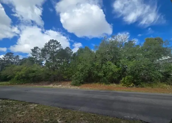 4113 Portillo Road, SPRING HILL, FL 34608