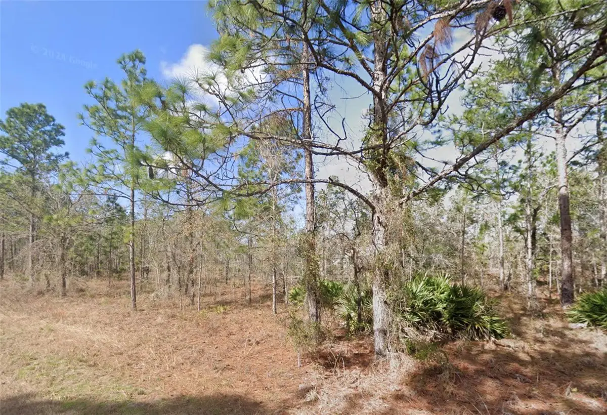 13351 Schick Avenue, Brooksville, FL 34614 - #1