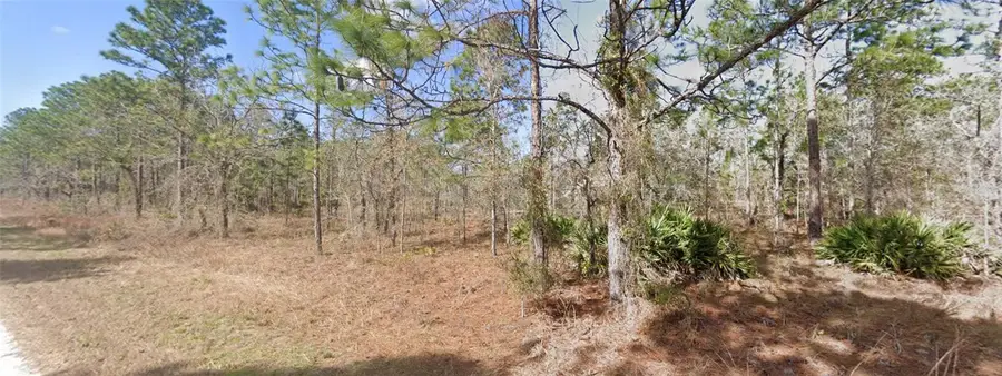 13351 Schick Avenue, Brooksville, FL 34614 - #3