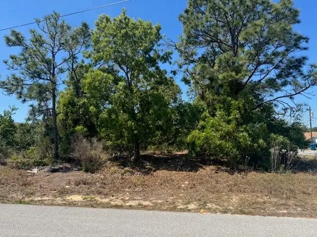 11364 Patch Street, Spring Hill, FL 34609 - #1