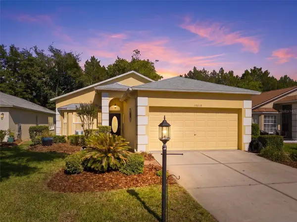 18018 Webster Grove Drive, HUDSON, FL 34667