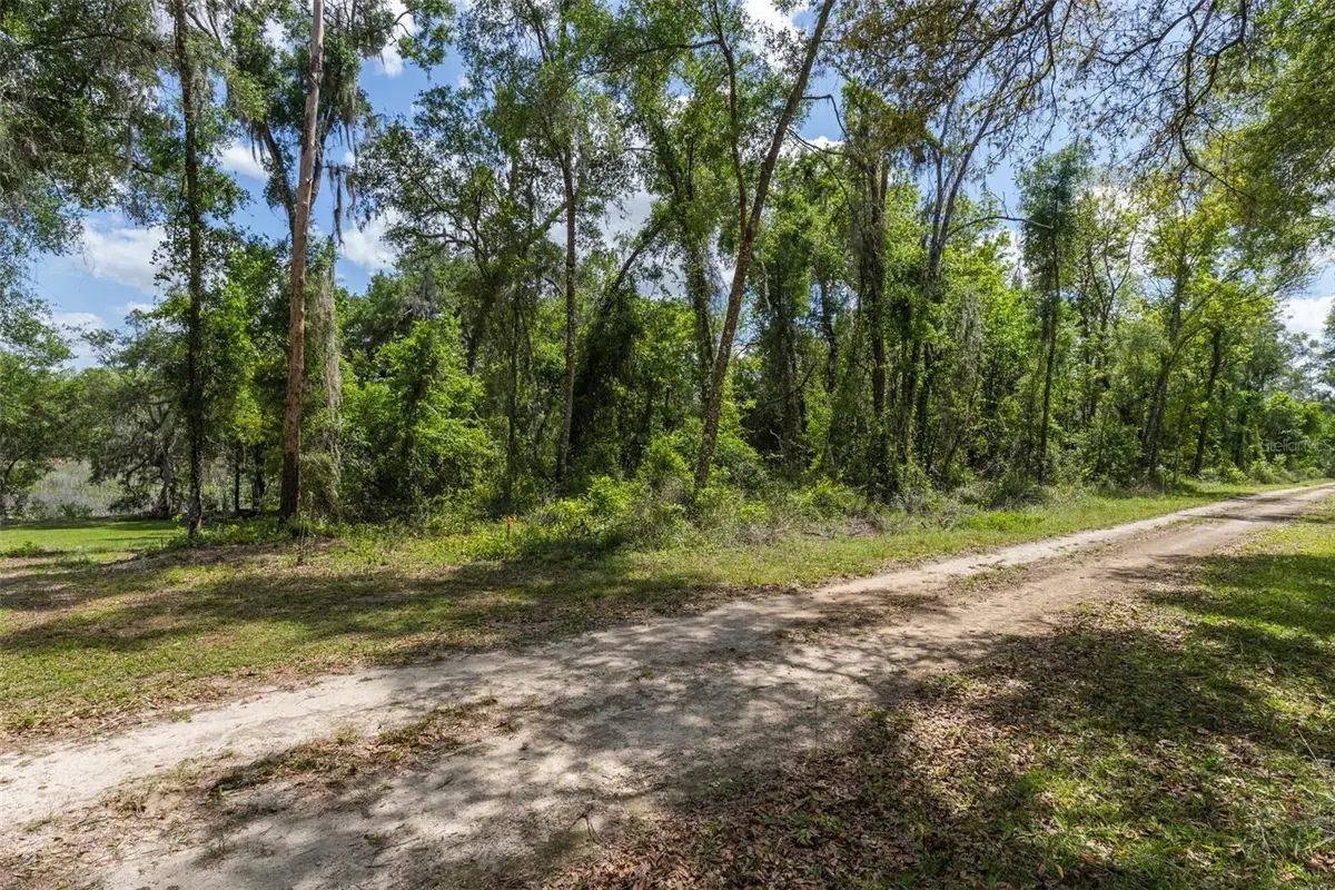 0 Rousseau Street, Webster, FL 33597 - #1