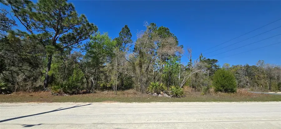 12398 Ruffed Grouse Road, Weeki Wachee, FL 34614 - #3