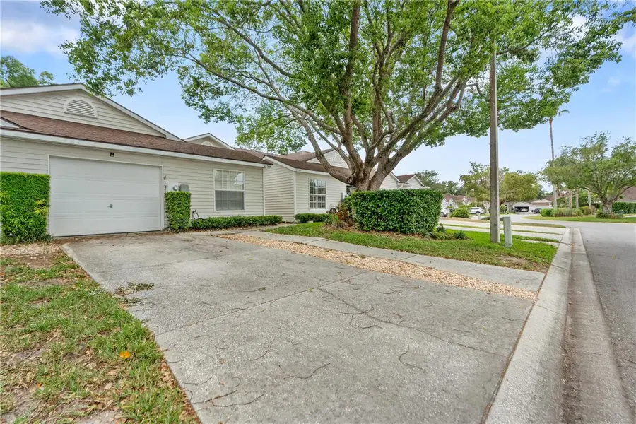 21506 Gray Tern Court, Lutz, FL 33549 - #3