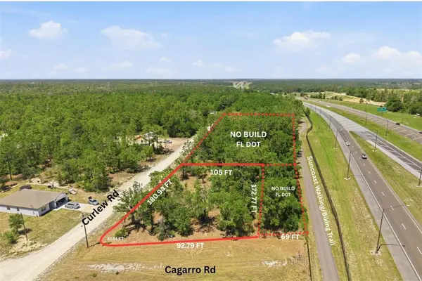 Lot 10 Cagarro Road, WEEKI WACHEE, FL 34614