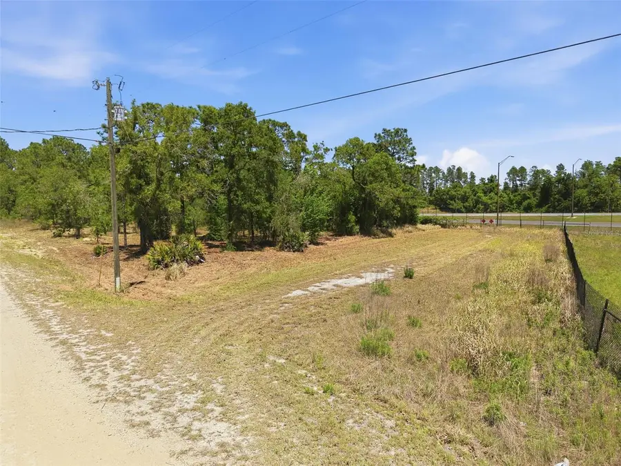 Lot 10 Cagarro Road, Weeki Wachee, FL 34614 - #2