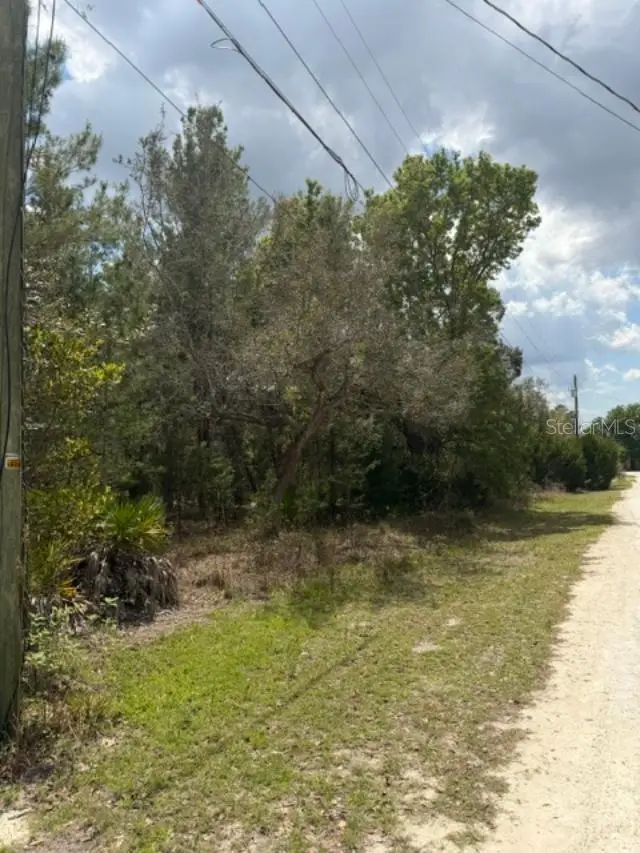 0 Bastian Court, Weeki Wachee, FL 34613 - #2