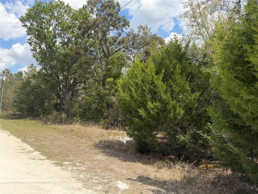 0 Bastian Court, Weeki Wachee, FL 34613 - #3