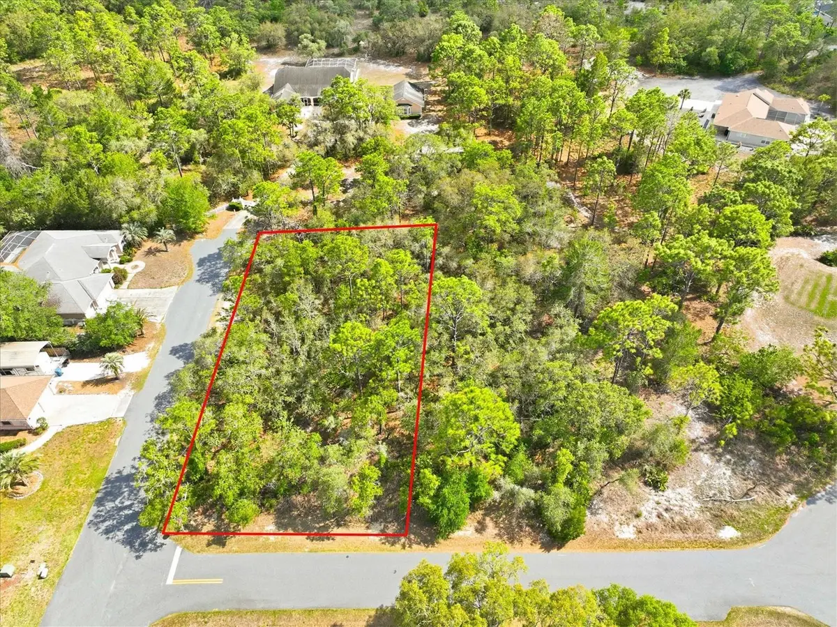 11026 Gig Avenue, Weeki Wachee, FL 34613 - #1